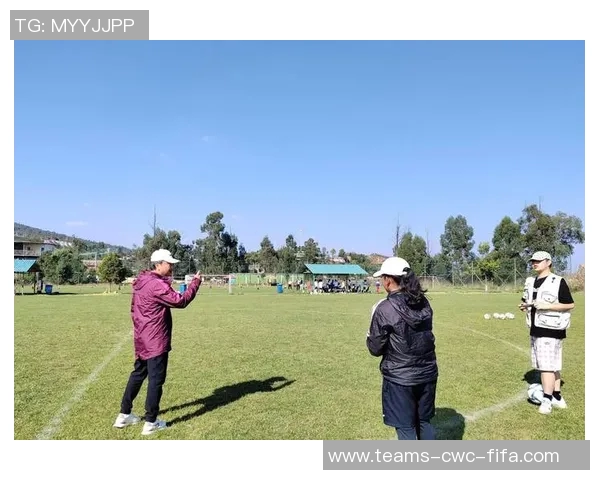 高富林在足球界的崛起与挑战解析及其对未来的影响探讨